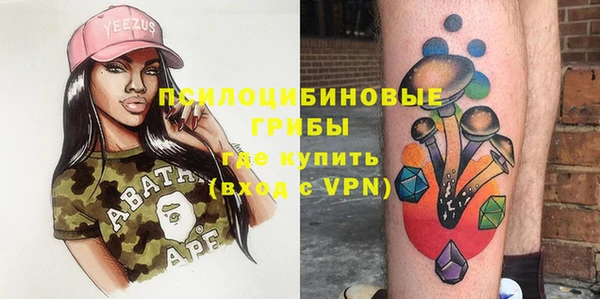 бошки Верхний Тагил
