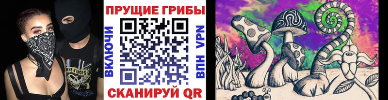 Купить где  Маркс  Галлюциногенные грибы Cubensis 
